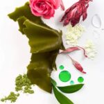 Shield Conditioner - Image 3